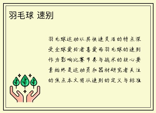 羽毛球 速别