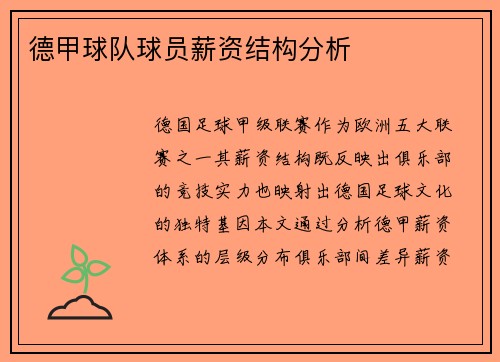 德甲球队球员薪资结构分析